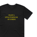 I'm Just A Little Ray Of Sunshine T-Shirt