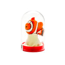 Nemo Clown Fish Novelty Condom