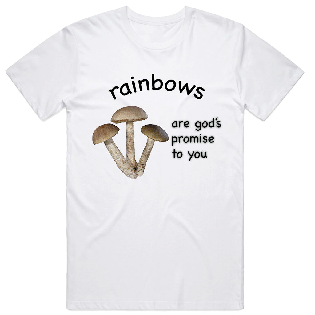 Rainbows are gods promise to you T-Shirt